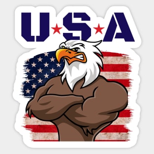 USA/EAGLE Sticker